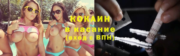 хмурый Алексин