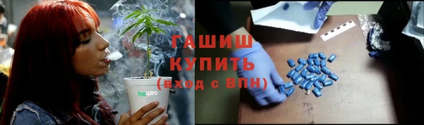 хмурый Алексин