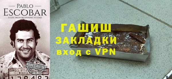 хмурый Алексин