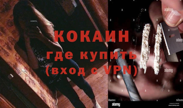 хмурый Алексин