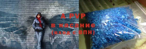 хмурый Алексин